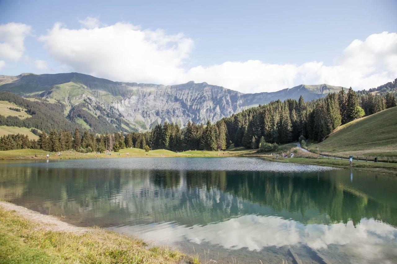 Vila Les Clochettes Megève Exteriér fotografie